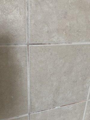 BEFORE: grout mold