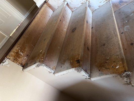 Stairs after carpet removal