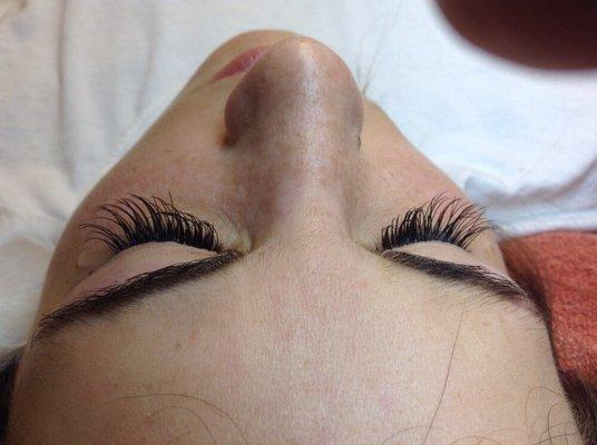 Lavish Lashes