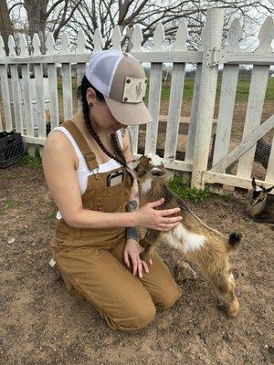 Baby goat snacking on my braid