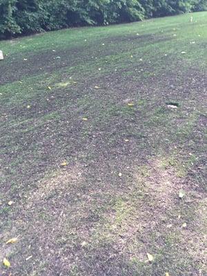 Every tee box covered in thick layer of mulch...which they fail to tell you before your round. This course is a lemon!