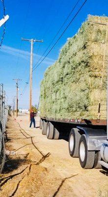 Hay delivered on the regular!