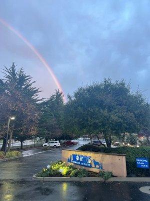 Rainbow over Woods