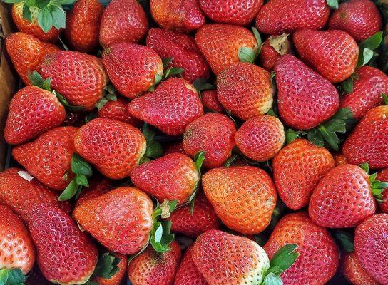 Delicious Strawberries