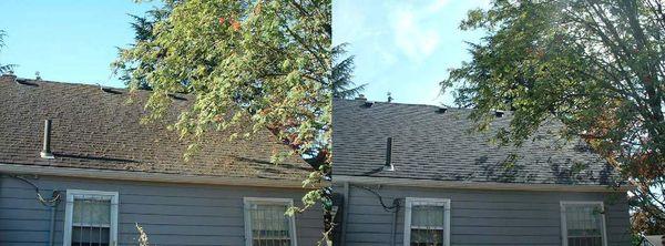 Roof Cleaning - Before and After