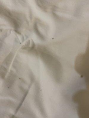 Sand in the sheet