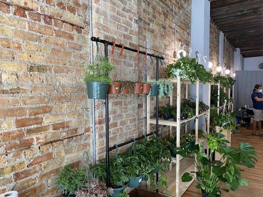 Want to hang your plants? No problem, they've got you covered.