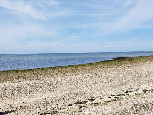 8/17/21 - in the distance is Provincetown, viewing the Pilgrim Monument Tower.