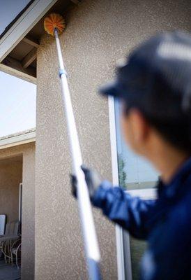 Removing spiderwebs from the perimeter of the property