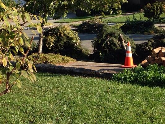 Beautiful, neat curbside stacks of firewood, complete with orange cones. It looks like Paul Bunyan with OCD was here!