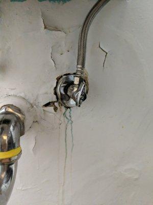 A leak they said was "completely fixed". Found soaked paper towels stuffed around the pipe. It was still leaking into my walls.