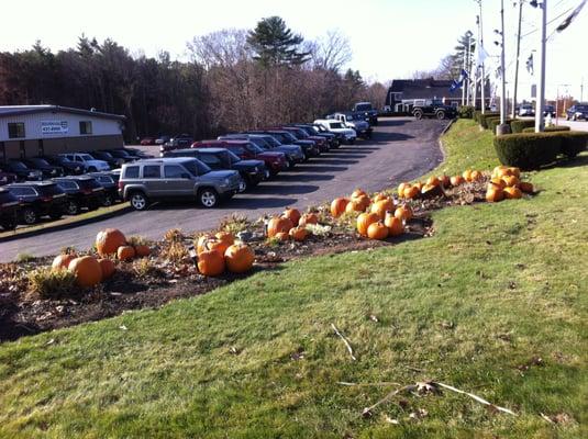 Our Pumpkin Patch!