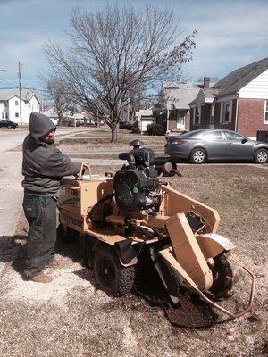 Stump remove