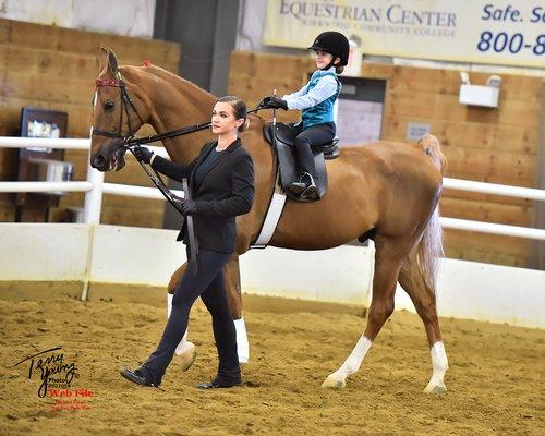 We teach and take to shows the wee little ones as well.  It's never too early to learn how to ride!