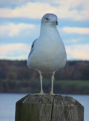 Kingston Point Park