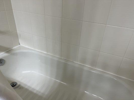 Mildewed grout around tub.