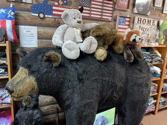 They call it the bear store for a reason.