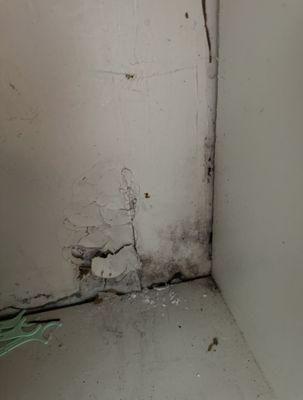 Park Eliot apartments DISGUSTING!!! Yadira manager won't even bother!