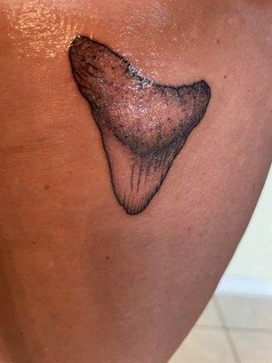 Shark tooth tattoo!