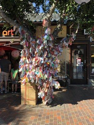 People write their wishes and hang them on the Wishing Tree in front of Blooming Art Gallery.