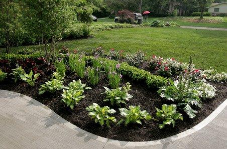 Bellevue Lawn Care & Landscaping