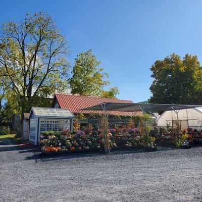 Tait Farm Harvest Shop & Greenhouse