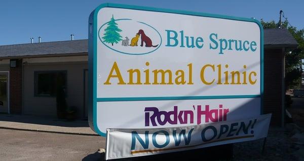 Blue Spruce Animal Clinic Sign