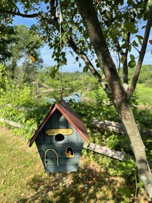 birdhouse on tree out back