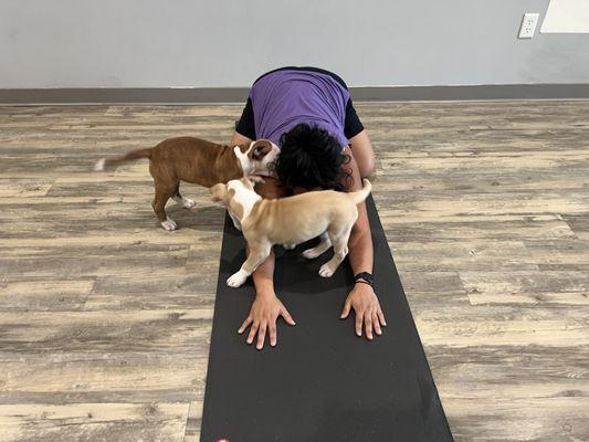 Root to Rise Power Yoga