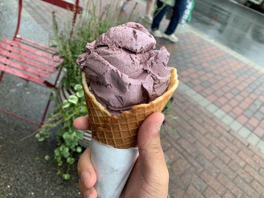 Black Raspberry in Waffle Cone