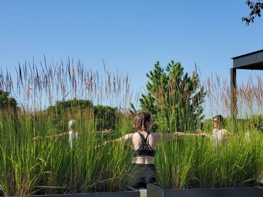 Summer Outdoor Yoga