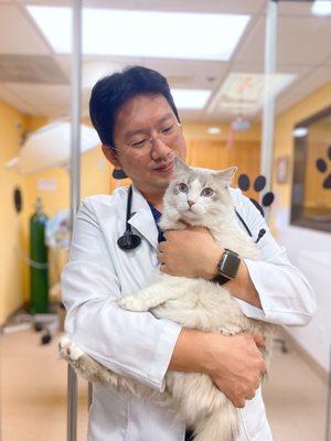 Meet Dr. Jong Hoon Shin, practice owner and veterinarian