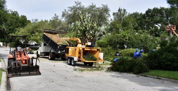 Certified Arborist on staff, Licensed & Insured. Free Estimates.