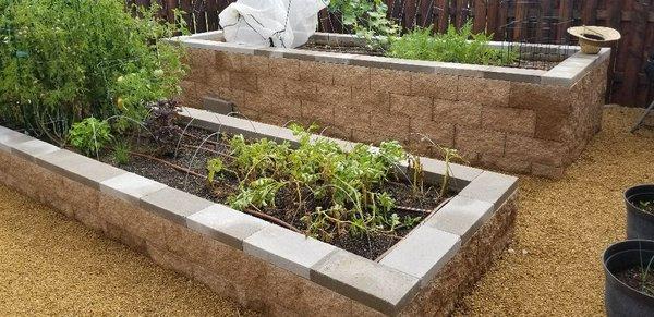 Custom vegetable gardens