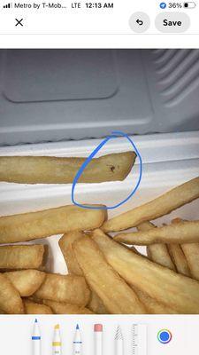 There's a bug on my fry. Don't trust DoorDash this restaurant really served me a big