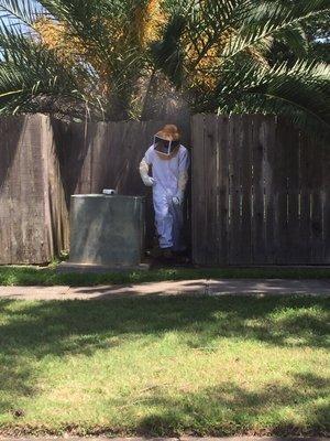 Here's one of our technicians removing a hive from a cable junction box.