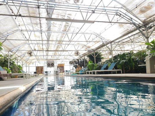 One of the hot spring fed pools in the Greenhouse (21+ area)