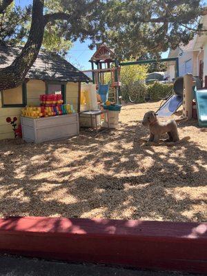 Play yard &Playhouse