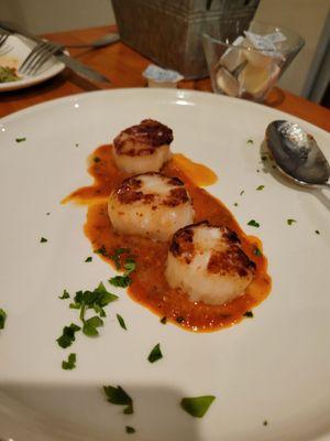 Scallops Special - Romescu sauce