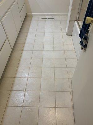 Tile and Grout Cleaning