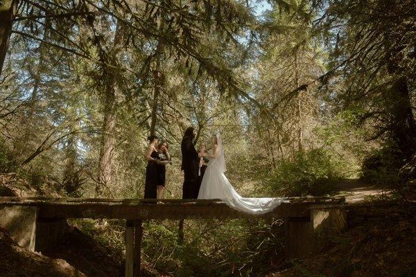 The dress that was dragged all over the forest came out white and clean!