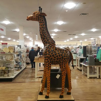 11 foot giraffe because why not.