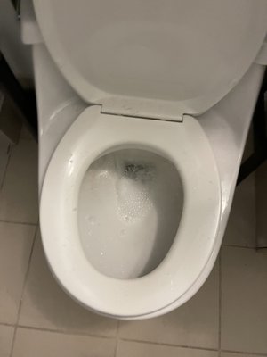 The toilet gurgled randomly about once a week or so and overflowed once.