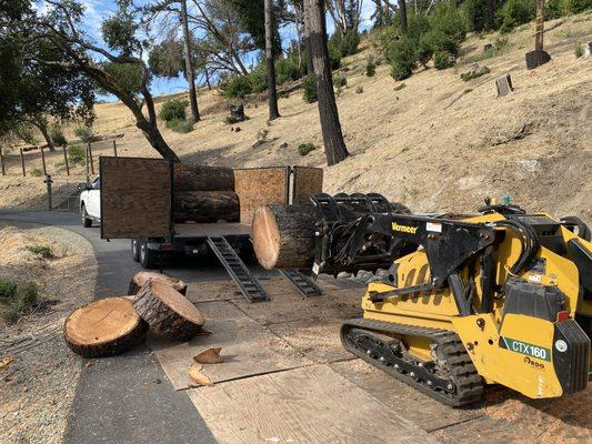 Defensible fire space for a property on Mark West Springs Road