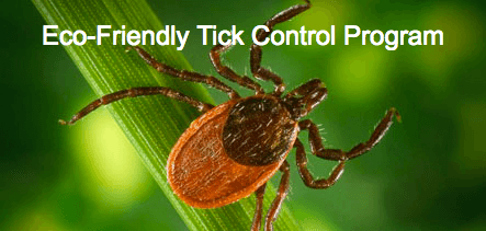 Tick Control