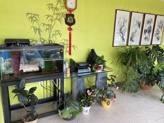 Lots of plants and a fish tank.