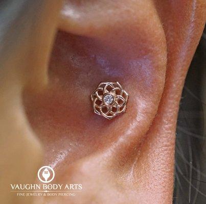 Conch piercing with a 14k rose gold "Shandra" with genuine diamond.