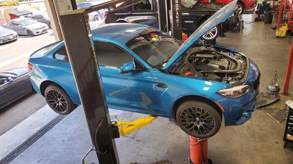 BMW Service and Repair