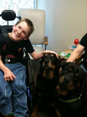 Therapy dogs with Sammy.