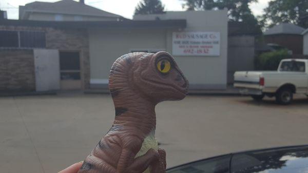 Bob the Raptor Says "These Mammals have really good meat."